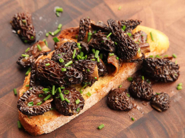 Savory Morel Mushroom Treats