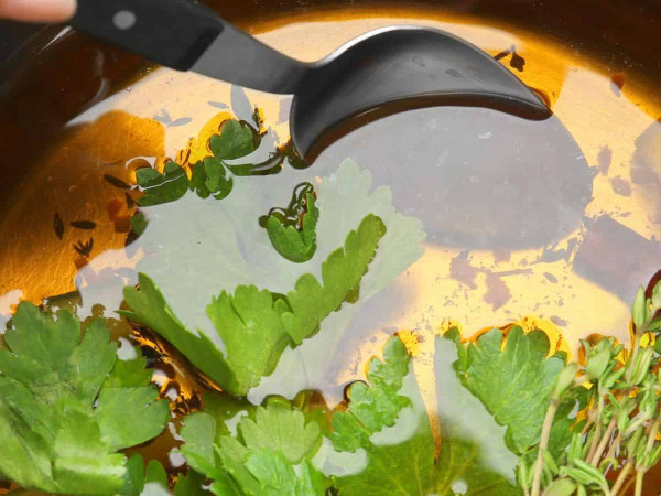 Farmhouse Turkey Brine by Grandma